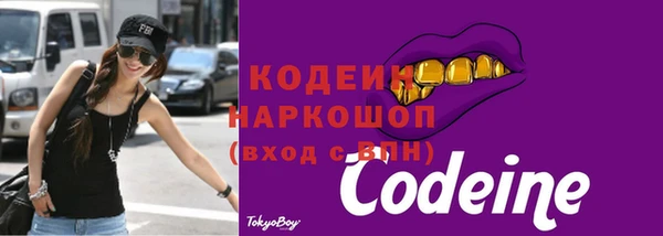 хмурый Богородицк