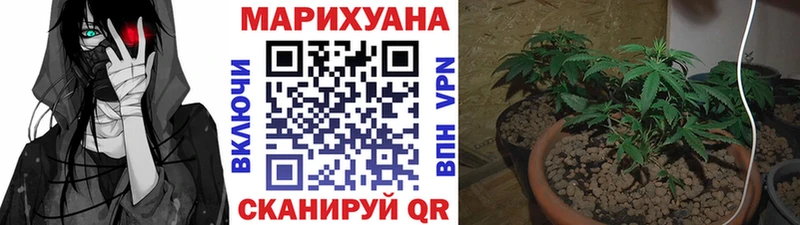 Конопля MAZAR  Купить  Елизаветинская 